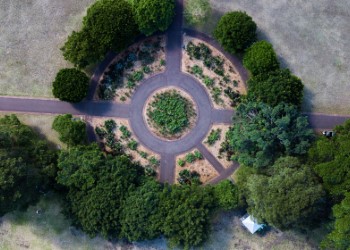 Caminhos em círculo
